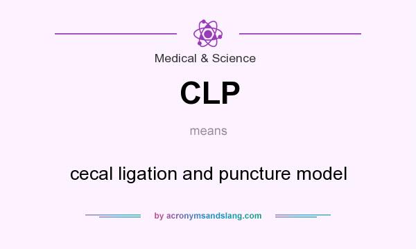 What does CLP mean? It stands for cecal ligation and puncture model