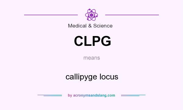 What does CLPG mean? It stands for callipyge locus