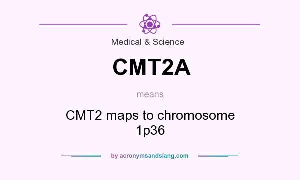 What does CMT2A mean? It stands for CMT2 maps to chromosome 1p36