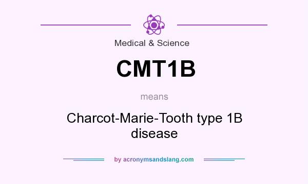 What does CMT1B mean? It stands for Charcot-Marie-Tooth type 1B disease