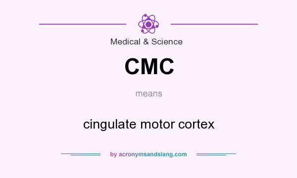 What does CMC mean? It stands for cingulate motor cortex