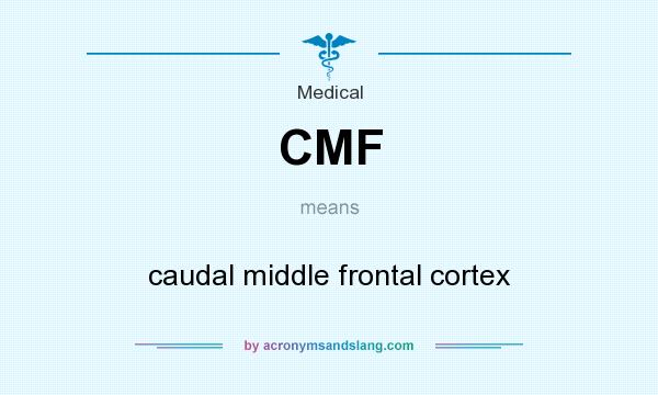 What does CMF mean? It stands for caudal middle frontal cortex
