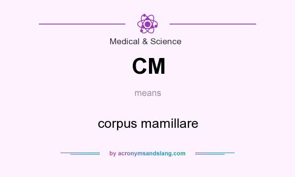 What does CM mean? It stands for corpus mamillare