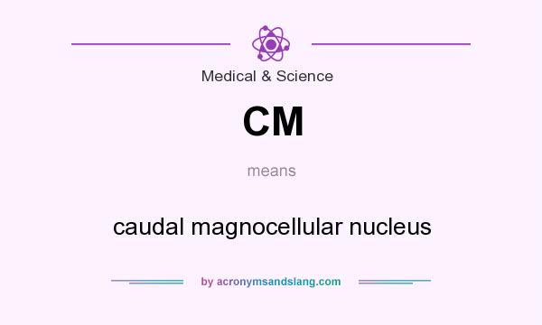 What does CM mean? It stands for caudal magnocellular nucleus