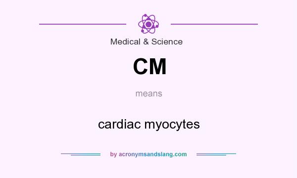 What does CM mean? It stands for cardiac myocytes