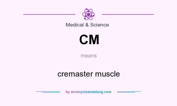 What does CM mean? It stands for cremaster muscle