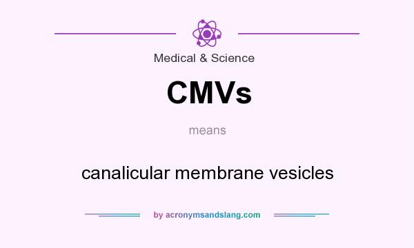 What does CMVs mean? It stands for canalicular membrane vesicles