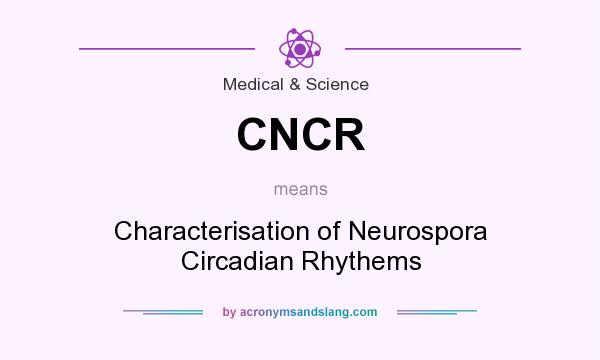 What does CNCR mean? It stands for Characterisation of Neurospora Circadian Rhythems