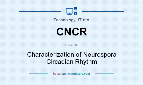What does CNCR mean? It stands for Characterization of Neurospora Circadian Rhythm