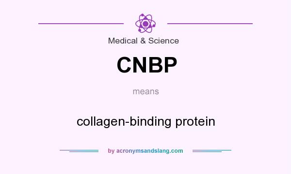 What does CNBP mean? It stands for collagen-binding protein