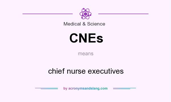 What does CNEs mean? It stands for chief nurse executives