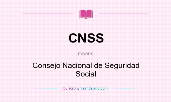 What does CNSS mean? It stands for Consejo Nacional de Seguridad Social
