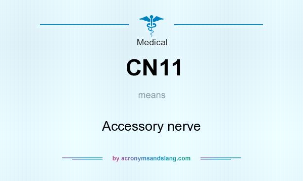 What does CN11 mean? It stands for Accessory nerve