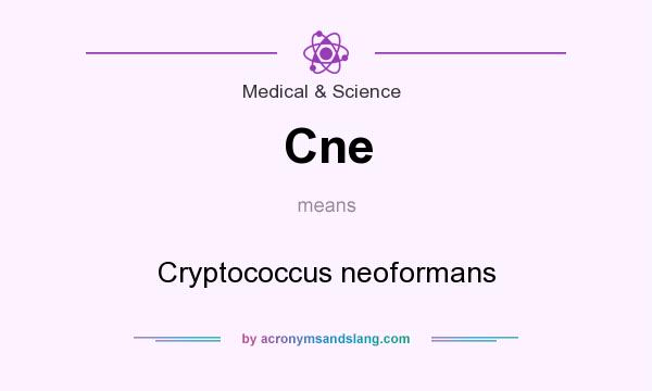 What does Cne mean? It stands for Cryptococcus neoformans