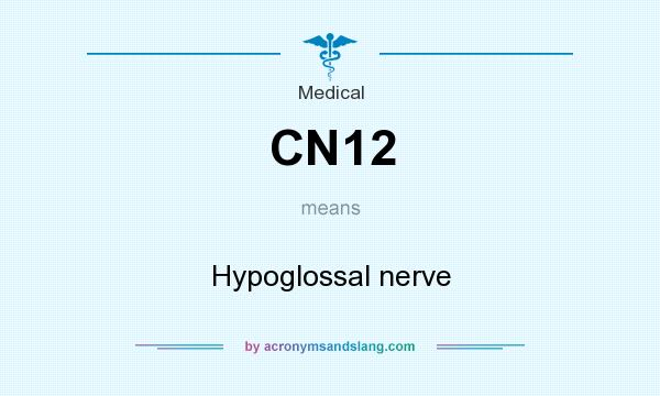 What does CN12 mean? It stands for Hypoglossal nerve