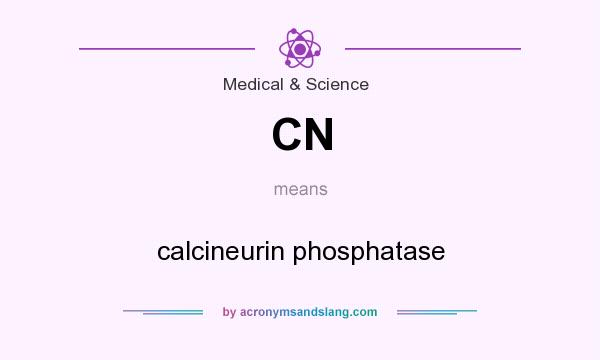 What does CN mean? It stands for calcineurin phosphatase