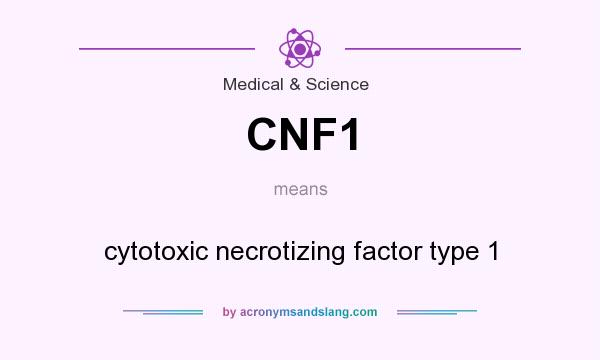 What does CNF1 mean? It stands for cytotoxic necrotizing factor type 1