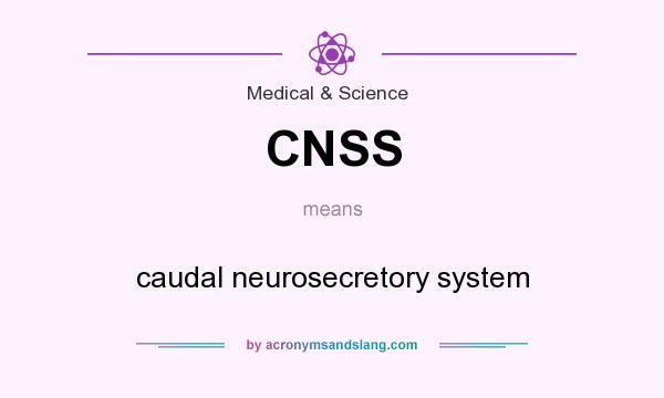 What does CNSS mean? It stands for caudal neurosecretory system