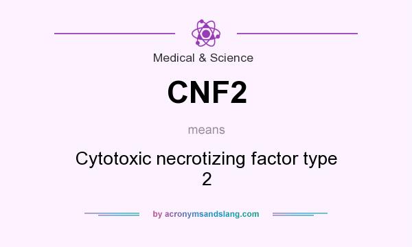 What does CNF2 mean? It stands for Cytotoxic necrotizing factor type 2