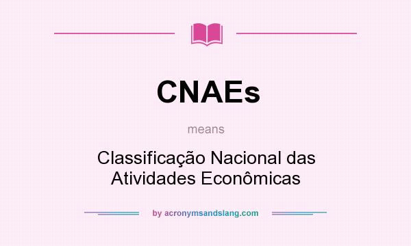 What does CNAEs mean? It stands for Classificação Nacional das Atividades Econômicas
