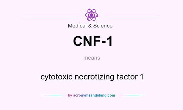 What does CNF-1 mean? It stands for cytotoxic necrotizing factor 1
