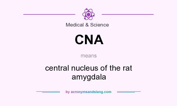 What does CNA mean? It stands for central nucleus of the rat amygdala