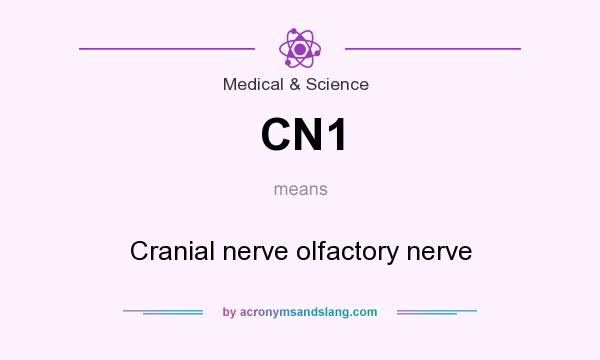 What does CN1 mean? It stands for Cranial nerve olfactory nerve