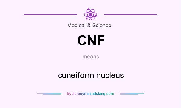 What does CNF mean? It stands for cuneiform nucleus