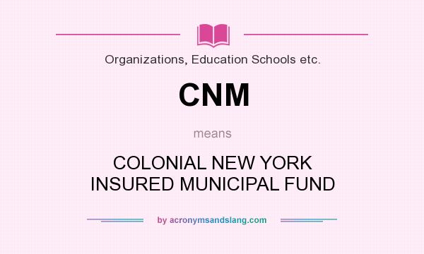 What does CNM mean? It stands for COLONIAL NEW YORK INSURED MUNICIPAL FUND
