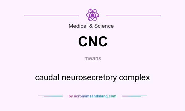 What does CNC mean? It stands for caudal neurosecretory complex