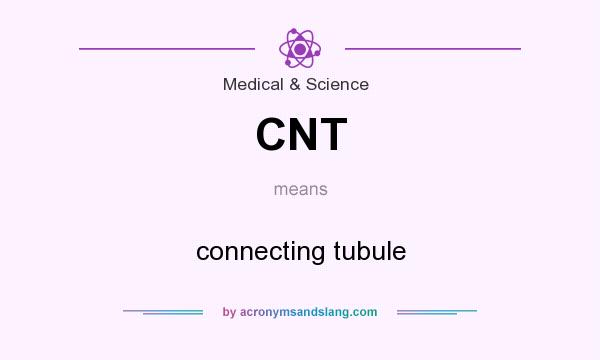 What does CNT mean? It stands for connecting tubule