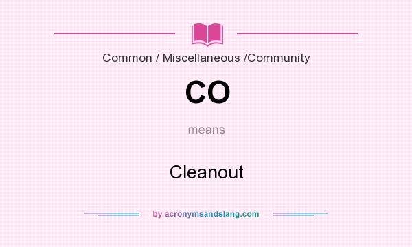What does CO mean? It stands for Cleanout