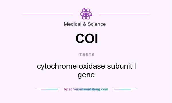 What does COI mean? It stands for cytochrome oxidase subunit I gene