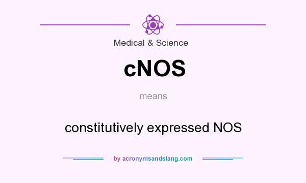 What does cNOS mean? It stands for constitutively expressed NOS