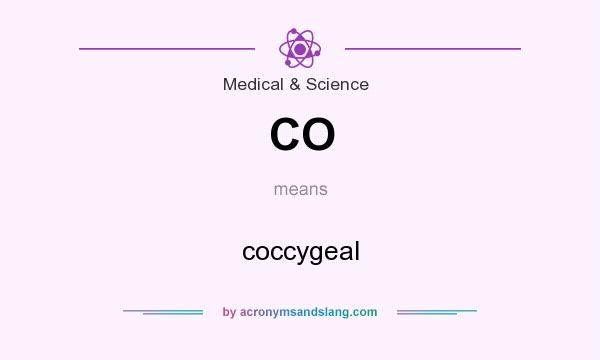What does CO mean? It stands for coccygeal