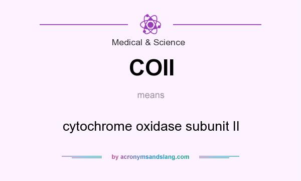 What does COII mean? It stands for cytochrome oxidase subunit II