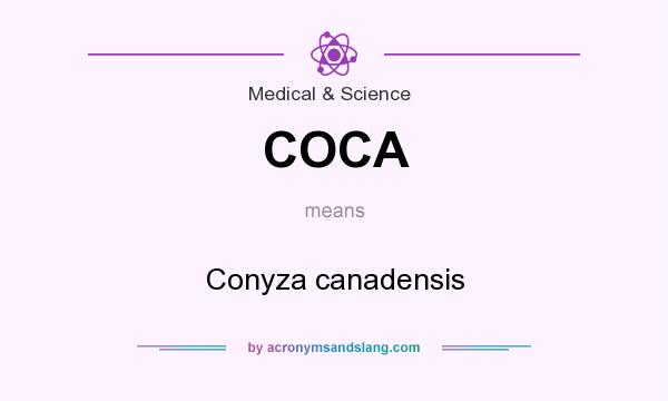 What does COCA mean? It stands for Conyza canadensis