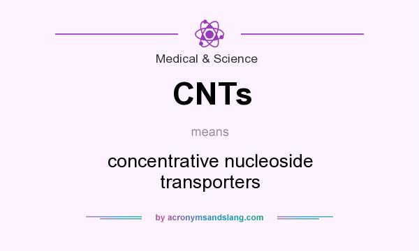What does CNTs mean? It stands for concentrative nucleoside transporters