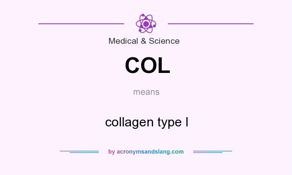 What does COL mean? It stands for collagen type I