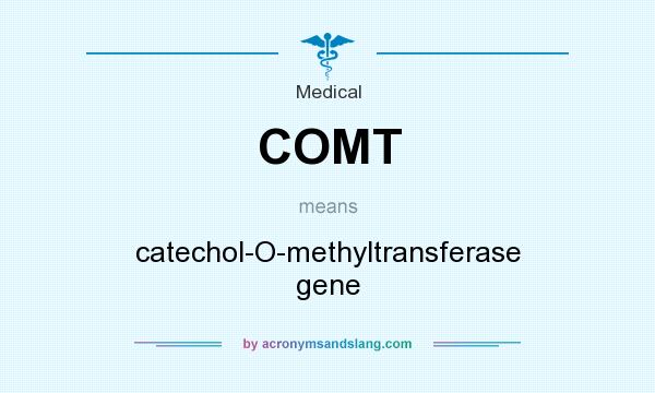 What does COMT mean? It stands for catechol-O-methyltransferase gene
