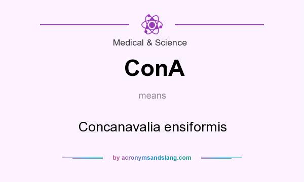 What does ConA mean? It stands for Concanavalia ensiformis