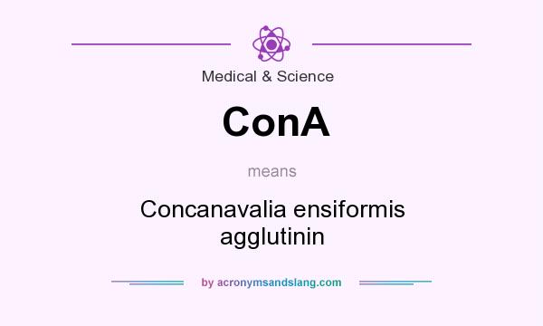 What does ConA mean? It stands for Concanavalia ensiformis agglutinin