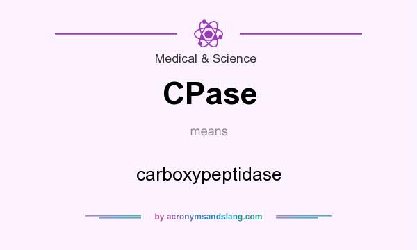 What does CPase mean? It stands for carboxypeptidase