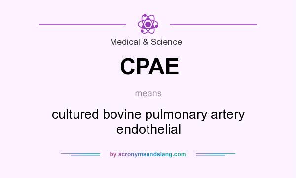 What does CPAE mean? It stands for cultured bovine pulmonary artery endothelial