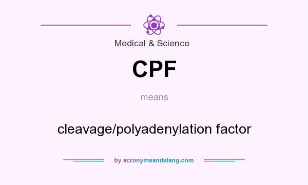What does CPF mean? It stands for cleavage/polyadenylation factor