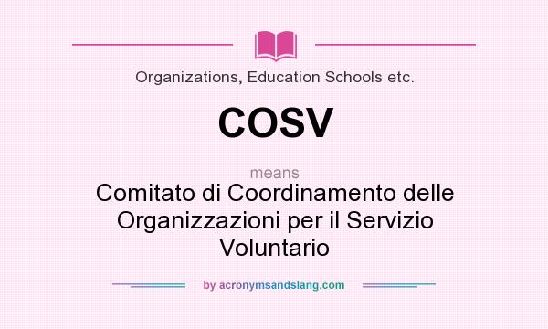 What does COSV mean? It stands for Comitato di Coordinamento delle Organizzazioni per il Servizio Voluntario