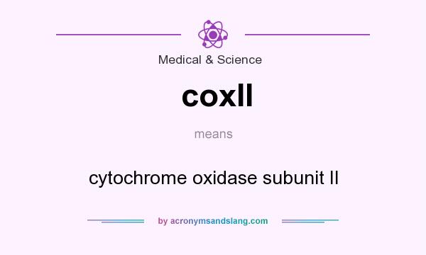 What does coxII mean? It stands for cytochrome oxidase subunit II