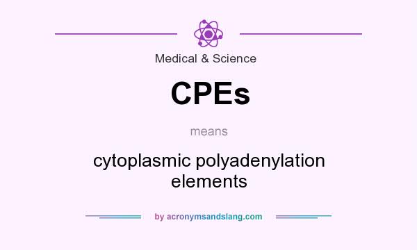 What does CPEs mean? It stands for cytoplasmic polyadenylation elements