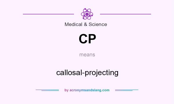What does CP mean? It stands for callosal-projecting