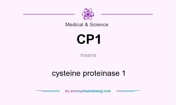 What does CP1 mean? It stands for cysteine proteinase 1